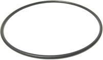 Geberit O-ring (g:a HT) 75,  365.789.00.1